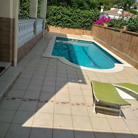 Palmeral
